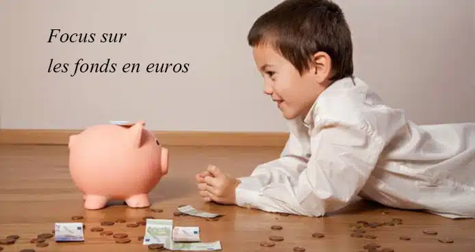 Focus sur les fonds en euros, leur rôle dans une stratégie d'investissement