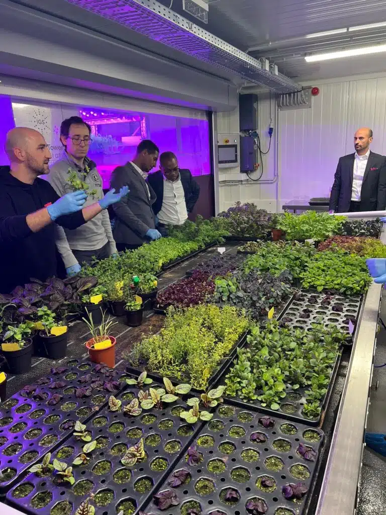 Visite de la ferme verticale Potager farm